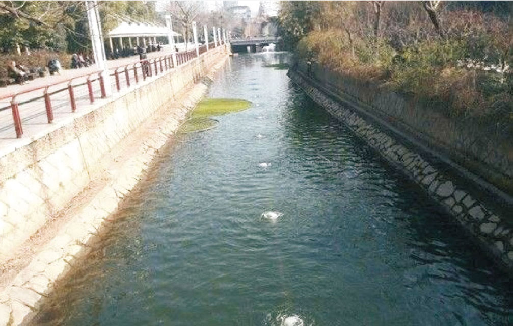 小流域生態治理技術